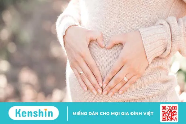 6 lưu ý khi sử dụng dược liệu đảng sâm bạn không nên bỏ qua