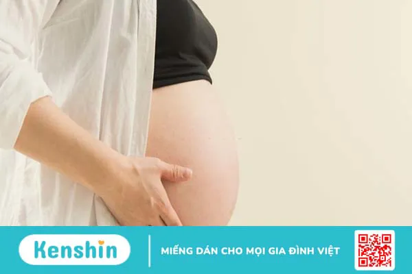 6 lưu ý khi sử dụng nấm linh chi bạn không nên bỏ qua