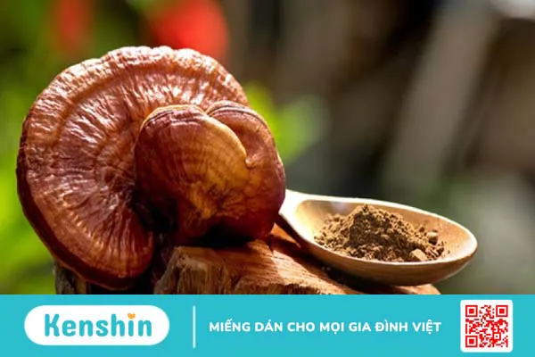 6 lưu ý khi sử dụng nấm linh chi bạn không nên bỏ qua