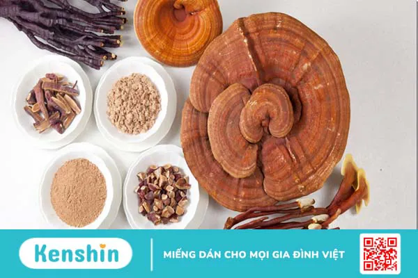 6 lưu ý khi sử dụng nấm linh chi bạn không nên bỏ qua