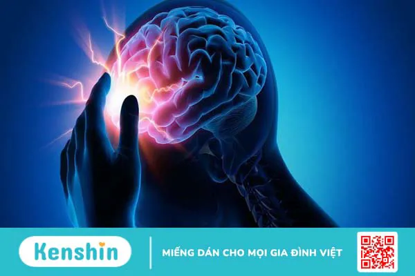 6 tác dụng chữa bệnh của cây viễn chí có thể bạn chưa biết