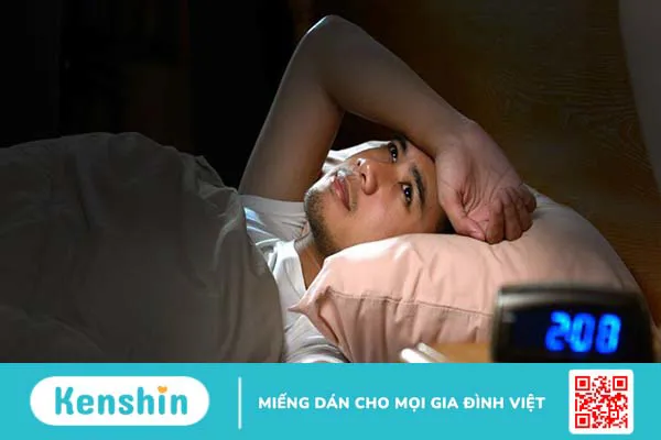 6 tác dụng chữa bệnh của cây viễn chí có thể bạn chưa biết