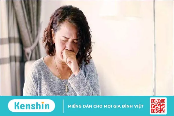 6 tác dụng của lá thường xuân đối với sức khỏe bạn cần biết