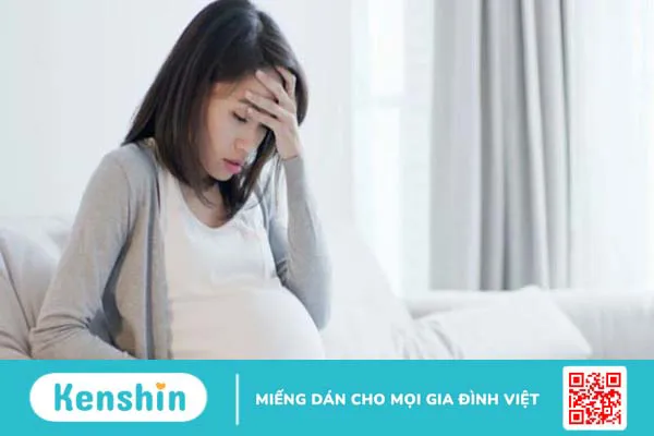 6 tác hại của trà hoa cúc và các đối tượng không nên sử dụng