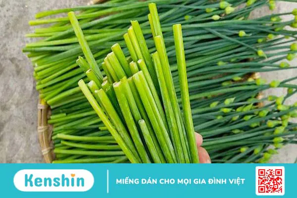 7 bài thuốc từ lá hẹ đơn giản, dễ làm tại nhà