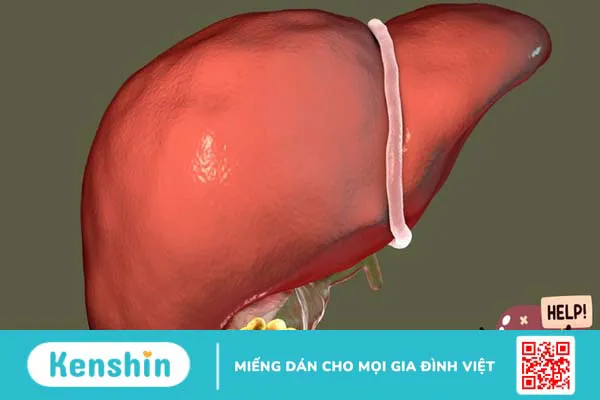 7 biến chứng viêm ruột bạn không nên bỏ qua