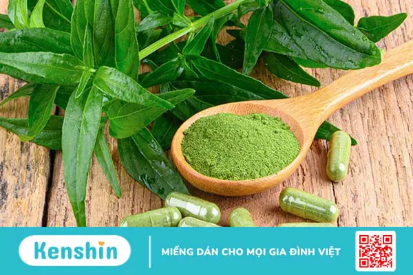 7 cây thuốc chữa viêm phế quản bạn nên biết