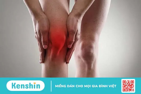 7 công dụng của cây mật nhân đối với sức khỏe