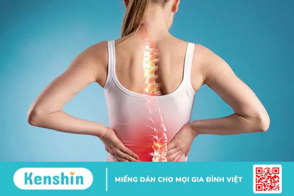 7 công dụng của cây mật nhân đối với sức khỏe