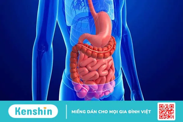 7 công dụng của sài đất đối với sức khỏe bạn nên biết