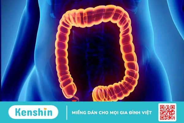 7 công dụng của sài đất đối với sức khỏe bạn nên biết