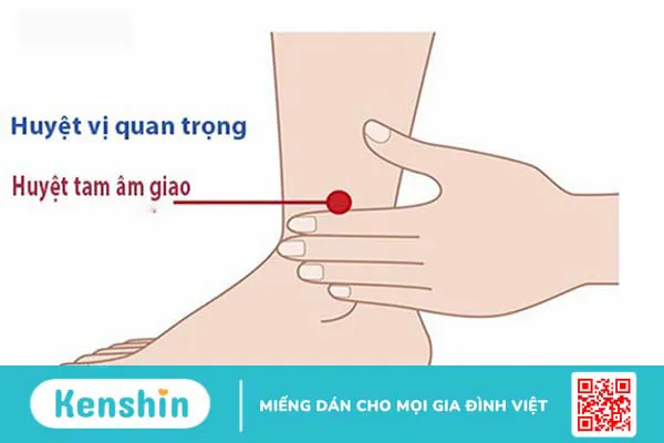 7 điểm bấm huyệt chữa mất ngủ chính xác, hiệu quả