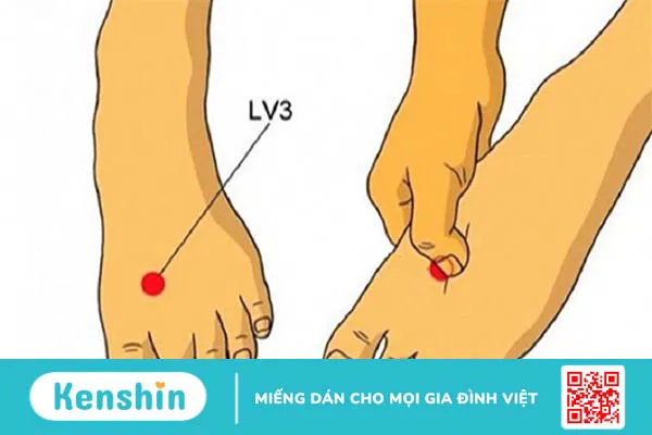 7 điểm bấm huyệt chữa mất ngủ chính xác, hiệu quả