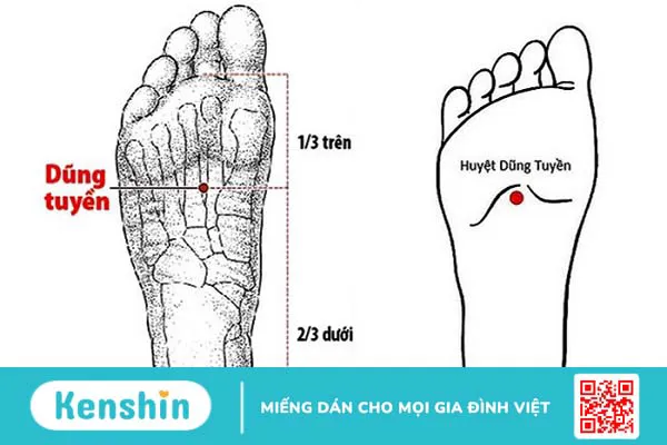 7 điểm bấm huyệt chữa mất ngủ chính xác, hiệu quả