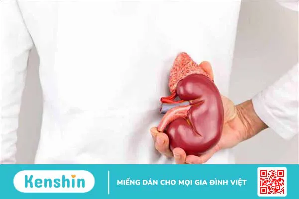 7 nguyên nhân rối loạn cương dương quý ông không nên bỏ qua