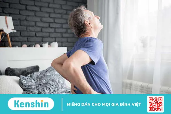 7 nguyên nhân thoát vị đĩa đệm thường gặp dân văn phòng cần biết