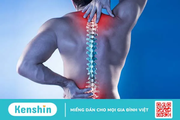 7 tác dụng long nhãn đối với sức khỏe mà bạn cần biết