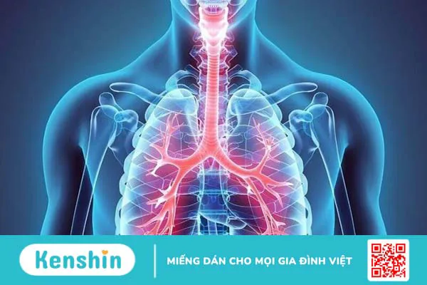 8 bài tập thở hậu covid và một số mẹo giúp phổi khỏe mạnh