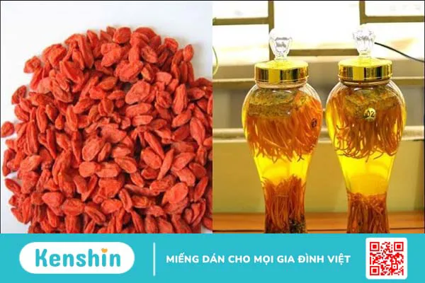 8 bài thuốc chữa yếu sinh lý ở nam giới bằng y học cổ truyền