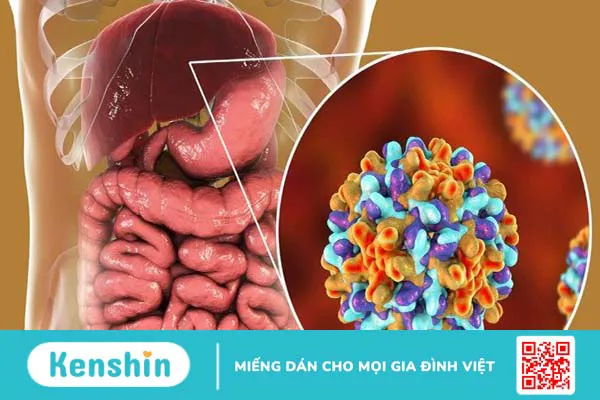 8 cách giải độc gan tại nhà đơn giản, hiệu quả dịp lễ bạn có thể biết