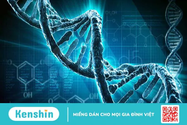 8 lợi ích của astaxanthin đối với sức khỏe làn da bạn nên biết