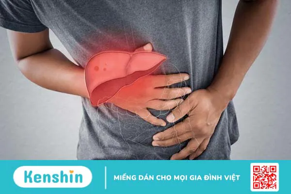 8 lưu ý khi sử dụng hà thủ ô đỏ bạn nên bỏ túi ngay