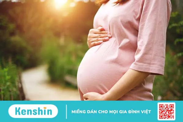 8 lưu ý khi sử dụng hà thủ ô đỏ bạn nên bỏ túi ngay