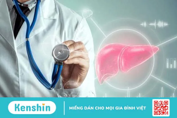 8 lưu ý khi sử dụng hà thủ ô đỏ bạn nên bỏ túi ngay