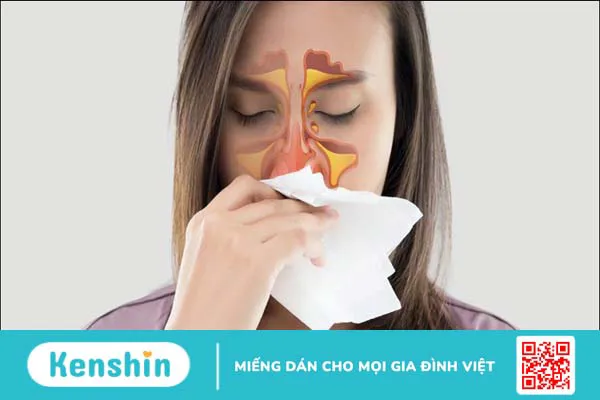 8 triệu chứng viêm mũi dị ứng phổ biến bạn cần biết