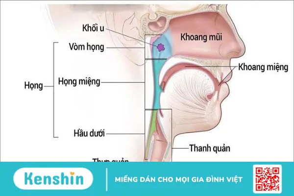 8 xét nghiệm chẩn đoán ung thư vòm họng giúp phát hiện bệnh sớm nhất