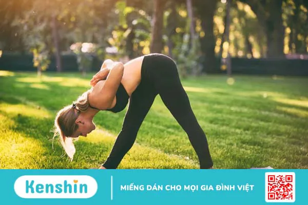 9 bài tập yoga cho người mới bắt đầu đơn giản, có thể tập tại nhà