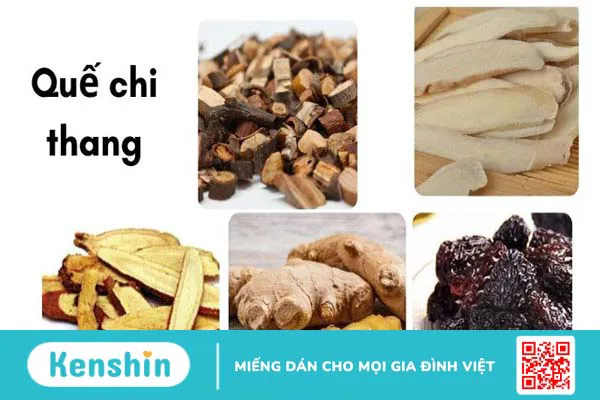 9 bài thuốc từ quế hay hỗ trợ chữa bệnh hiệu quả