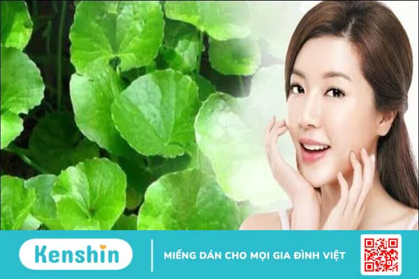 9 cách dùng rau má trị mụn, trị thâm đơn giản, hiệu quả tại nhà, lưu bí quyết ngay!