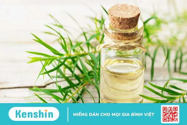 9 cách trị mụn đầu đen tại nhà đơn giản, hiệu quả bạn nên biết