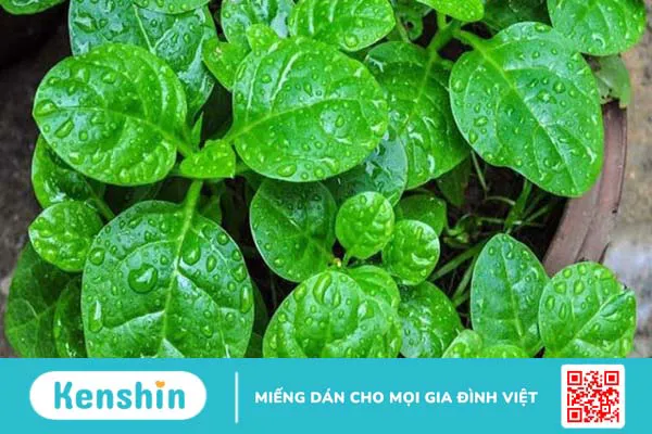 9 cách trị mụn nhọt hiệu quả tại nhà từ mẹo đơn giản