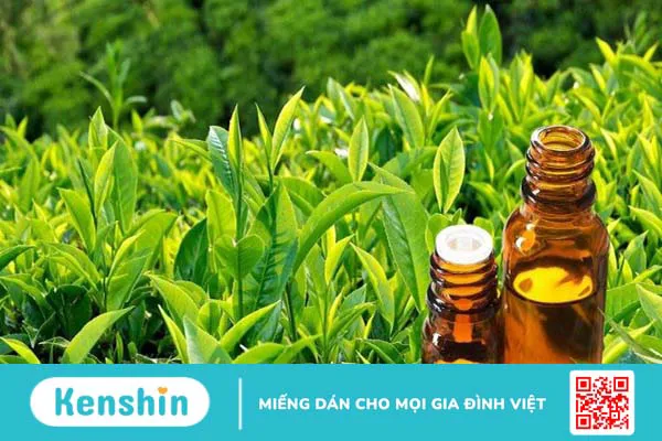 9 cách trị mụn nhọt hiệu quả tại nhà từ mẹo đơn giản