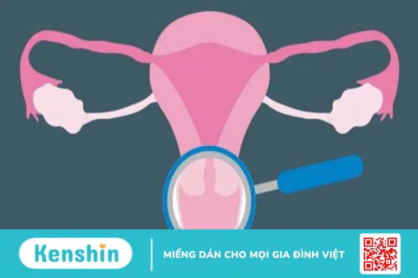 9 dấu hiệu rụng trứng rõ ràng, giúp nàng thụ thai thành công