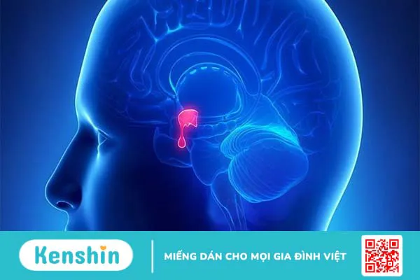 9 nguyên nhân gây bệnh suy giáp bạn nên biết