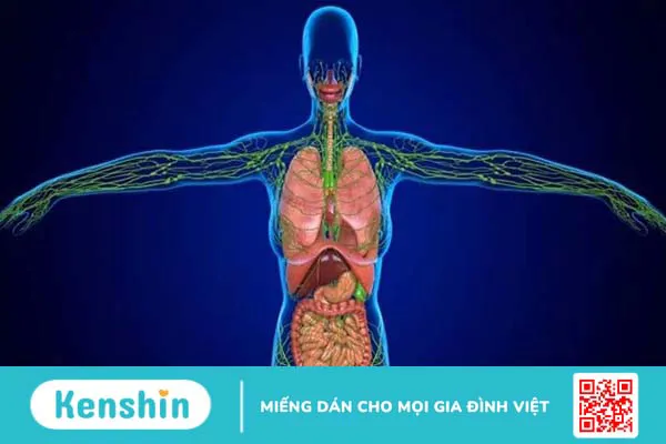 9 nguyên nhân viêm ruột thừa điển hình bạn cần phải lưu ý