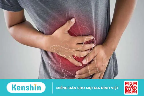 9 tác dụng của lá tía tô có thể bạn chưa biết