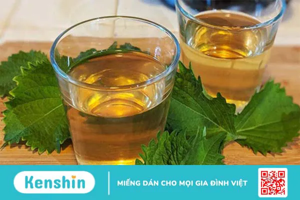 9 tác dụng của lá tía tô có thể bạn chưa biết