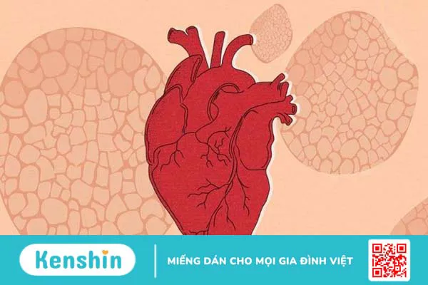 Acid alpha lipoic (ALA) là gì? Công dụng, cách dùng, tác dụng phụ, thực phẩm chứa ALA