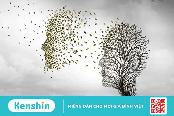 Acid alpha lipoic (ALA) là gì? Công dụng, cách dùng, tác dụng phụ, thực phẩm chứa ALA