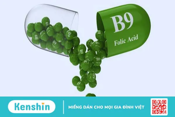 Acid folic (vitamin B9) là gì? Vai trò, cách dùng như thế nào?