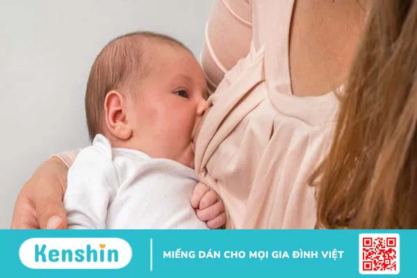 Ăn bắp cải có tốt không? 18 tác dụng của bắp cải với sức khoẻ