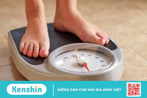 Ăn bơ có béo không? 11 tác dụng của quả bơ bạn không ngờ đến