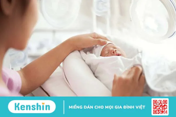 Ăn bơ có béo không? 11 tác dụng của quả bơ bạn không ngờ đến