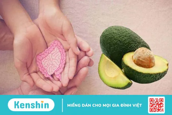 Ăn bơ có béo không? Bơ bao nhiêu calo? Giảm cân đúng cách với bơ