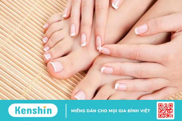 Ăn chân gà có tốt không? 8 tác dụng của chân gà tốt cho sức khỏe