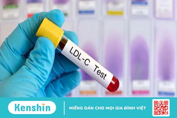 Ăn chay có tốt không? 14 lợi ích của việc ăn chay với sức khỏe